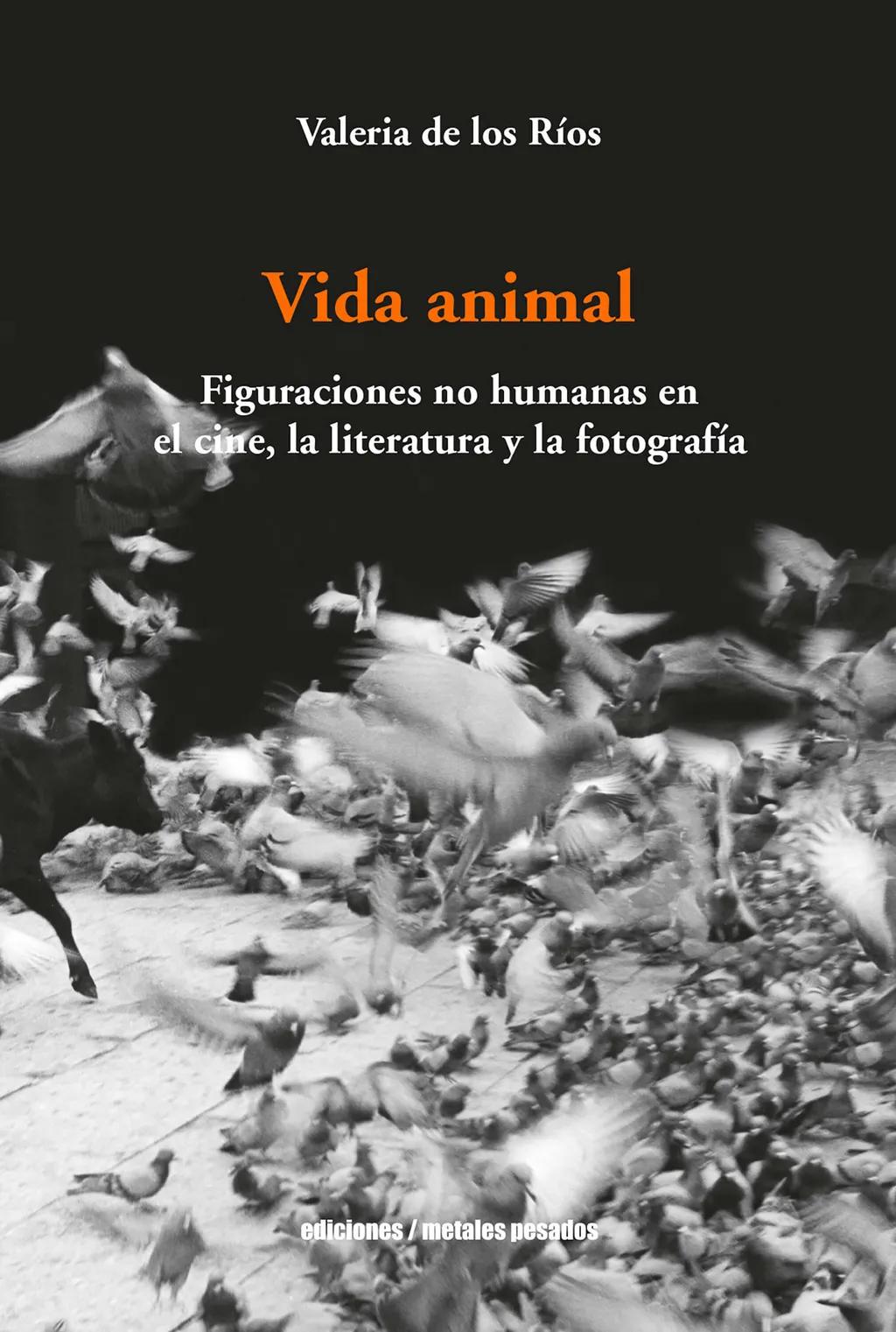 Vida animal